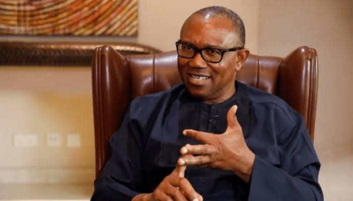 ‎2027: Anti-North Allegations Against Peter Obi Will Not Succeed — Former PDP Spokesman
