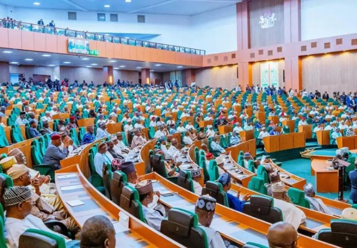 Reps Summon NSA, Defence, Finance Officials Over Rising Insecurity, Kidnappings