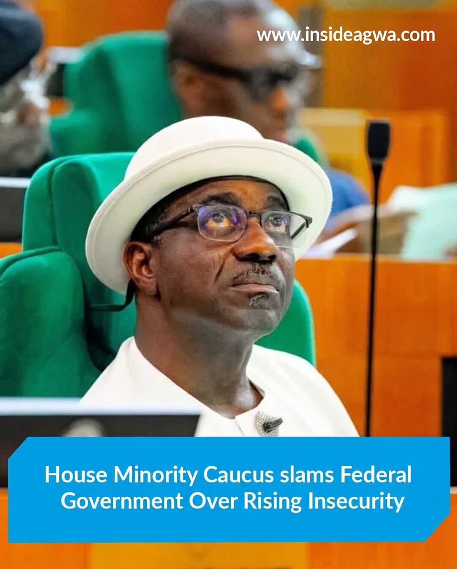Minority Reps Accuse FG of Neglecting Insecurity, Economic Hardship  ‎