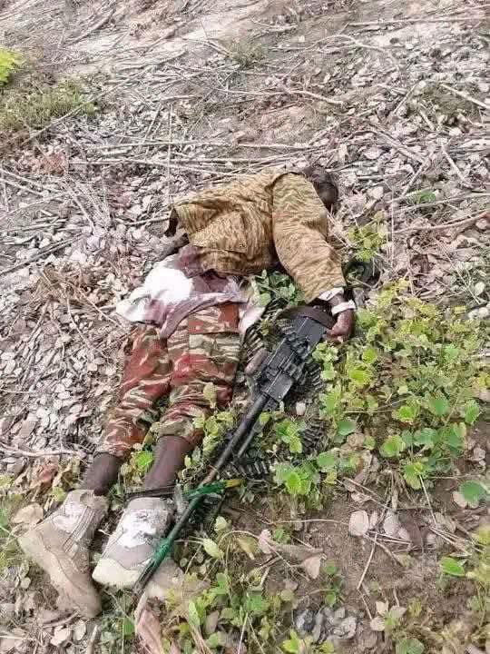 ‎Security Forces Neutralize Scores of Armed Bandits in Kebbi Operation