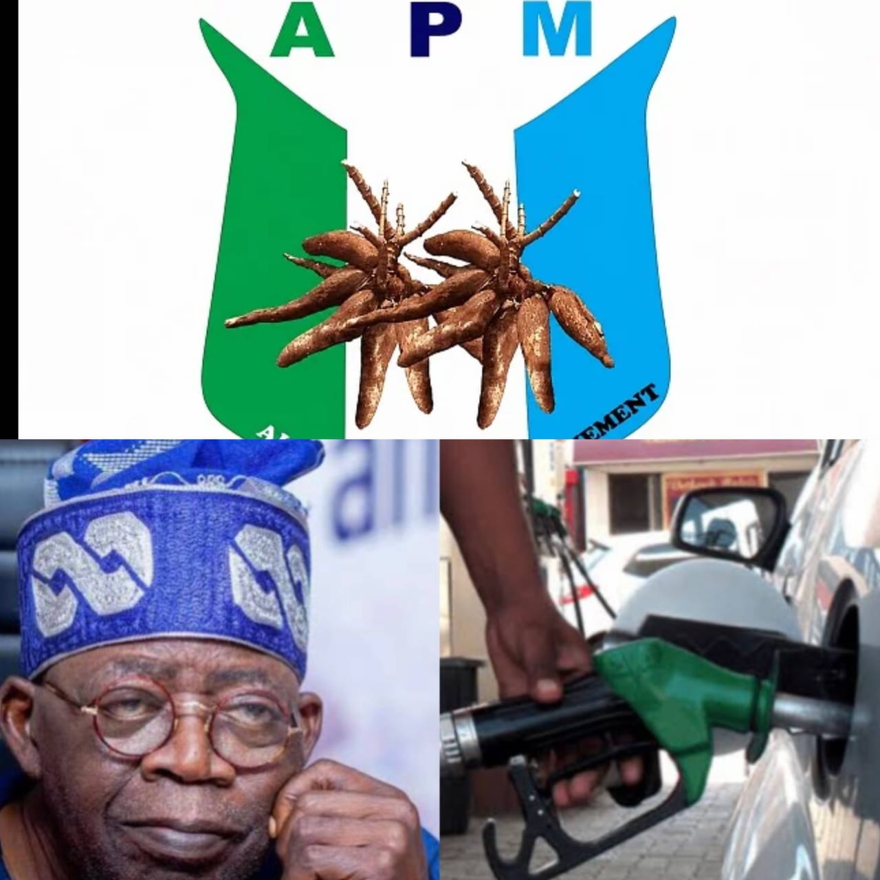 APM Demands Full Disclosure of Fuel Subsidy Savings, Seeks Transparent Accounting from Federal Government ‎