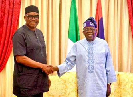 Tinubu Appoints Fayose as REA Chairman, Names 25 Others to Key Federal Agencies