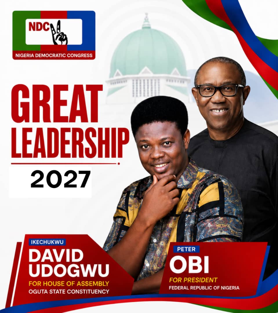 Oguta NDC Candidate Udogwu Pledges Affordable Education, Better Basic Infrastructure