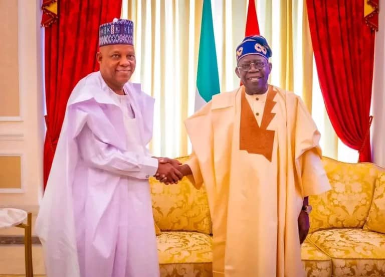 Shettima: FG Will Sustain Governance Despite Rising 2027 Political Activities